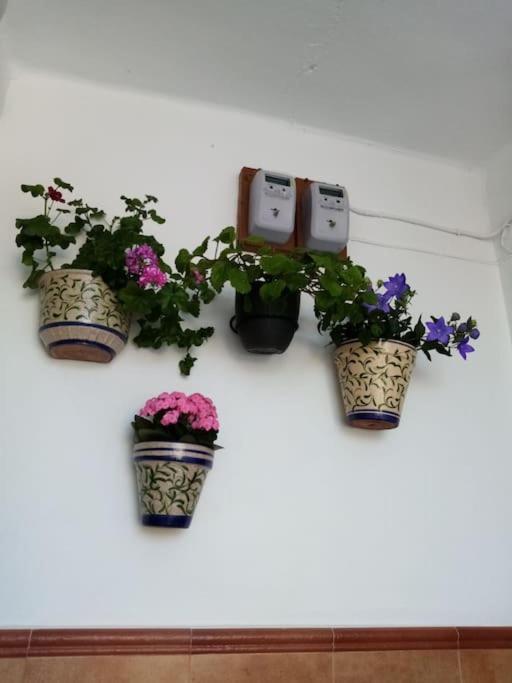 La Casita Βίλα Cortes de la Frontera Εξωτερικό φωτογραφία